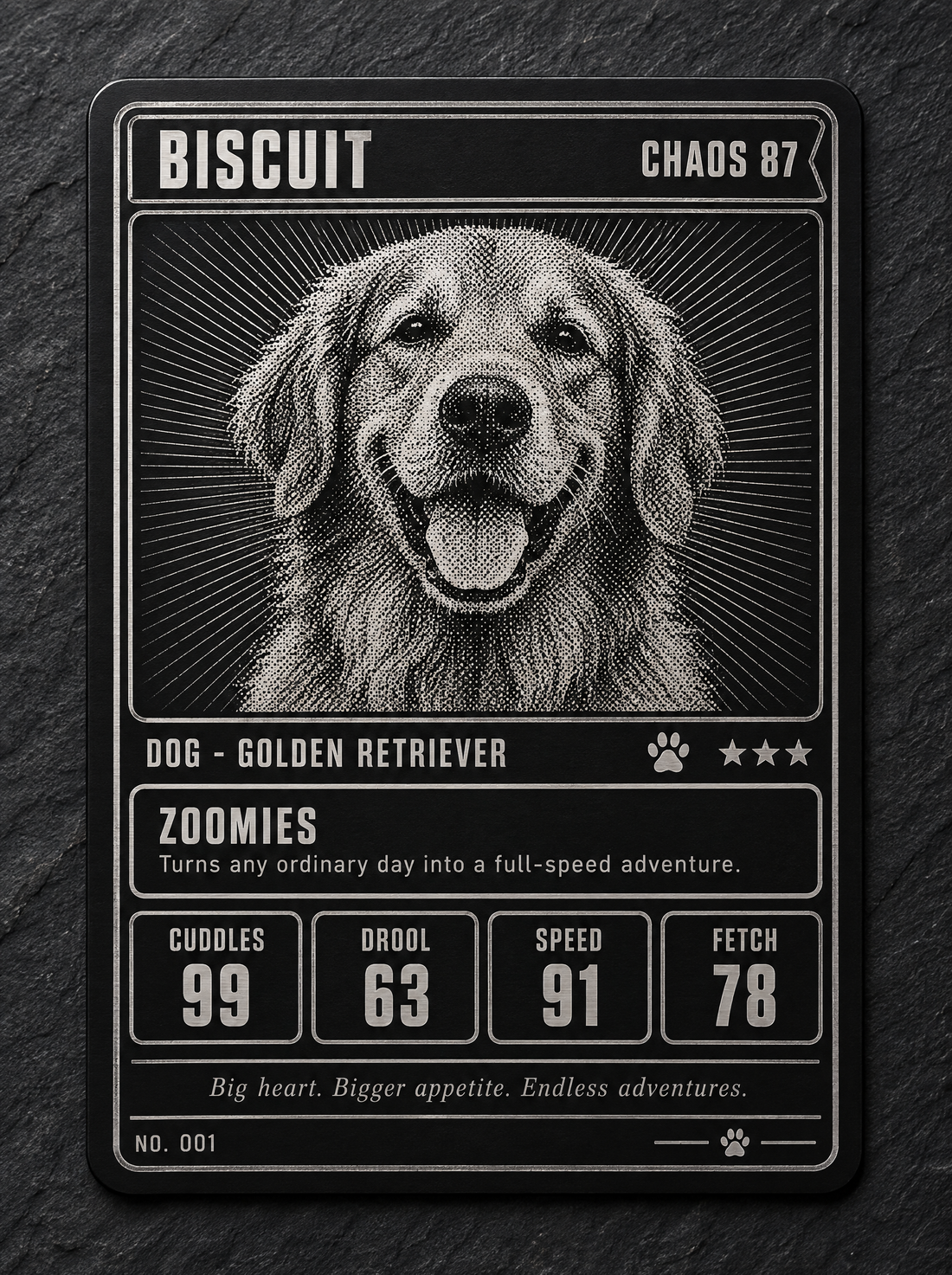 Personalized pet trading card engraved on black aluminum with a golden retriever's photo, name and stats